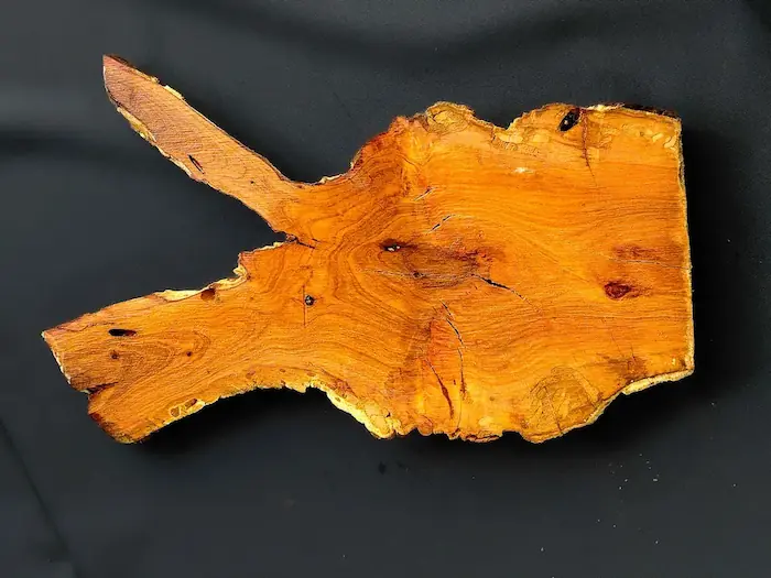 Plum wood slab PB2601009 wetted surface revealing natural grain and urban salvaged character