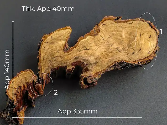 Root Wood Slab Hook – GS2602003 – Burl and Blade wood cookie slab for resin GS2602003 with measurement markings
