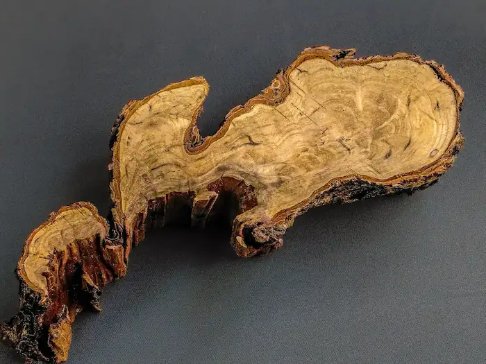 Root Wood Slab Hook – GS2602003 – Burl and Blade wood cookie slab for resin GS2602003 front view showing hook-shaped cross section