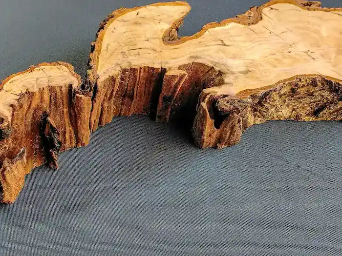 Root Wood Slab Hook – GS2602003 – Burl and Blade wood cookie slab for resin GS2602003 side profile showing thickness and edge