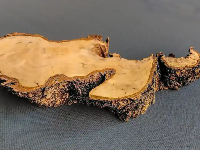 Root Wood Slab Hook – GS2602003 – Burl and Blade wood cookie slab for resin GS2602003 alternate side showing edge variation