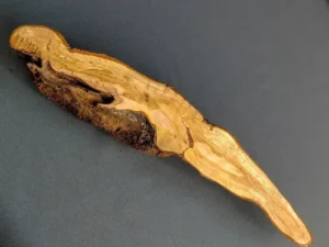 Front view of solid hardwood slab for resin GS2602002 showing root flare grain